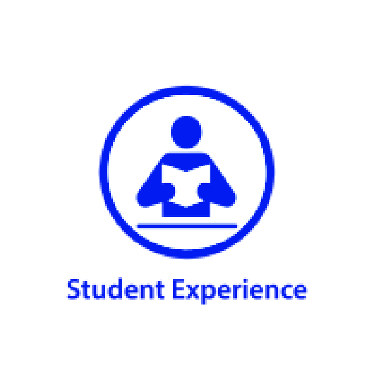 strategic plan icon